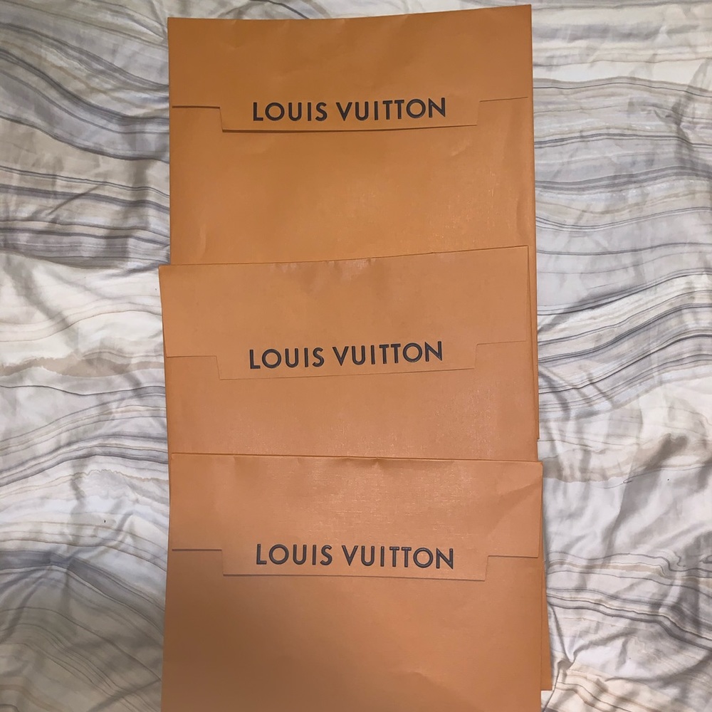 Louis Vuitton Gift Bags 3